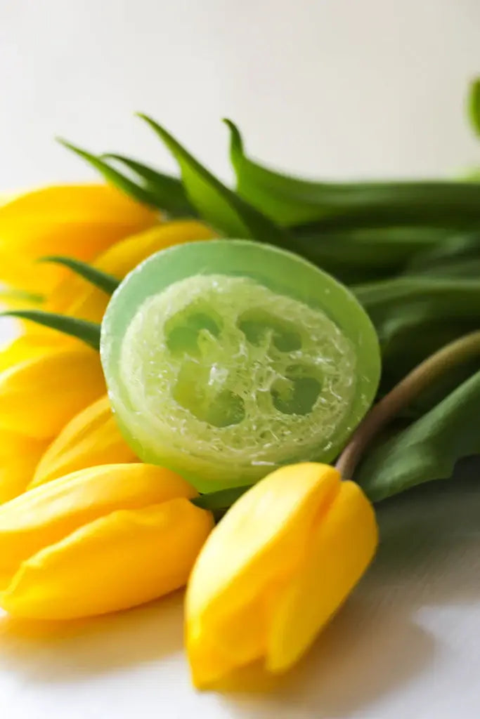 Eucalyptus Yuzu Loofah Soap