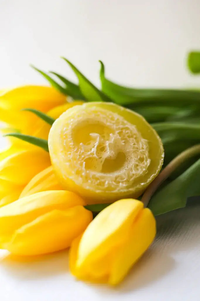 Mango Colada Loofah Soap